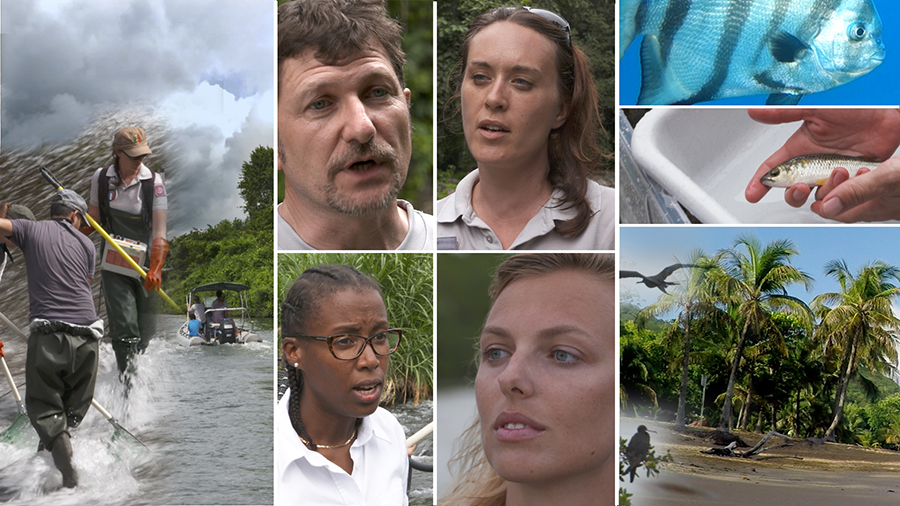 la-vie-revee-de-leau-diapo